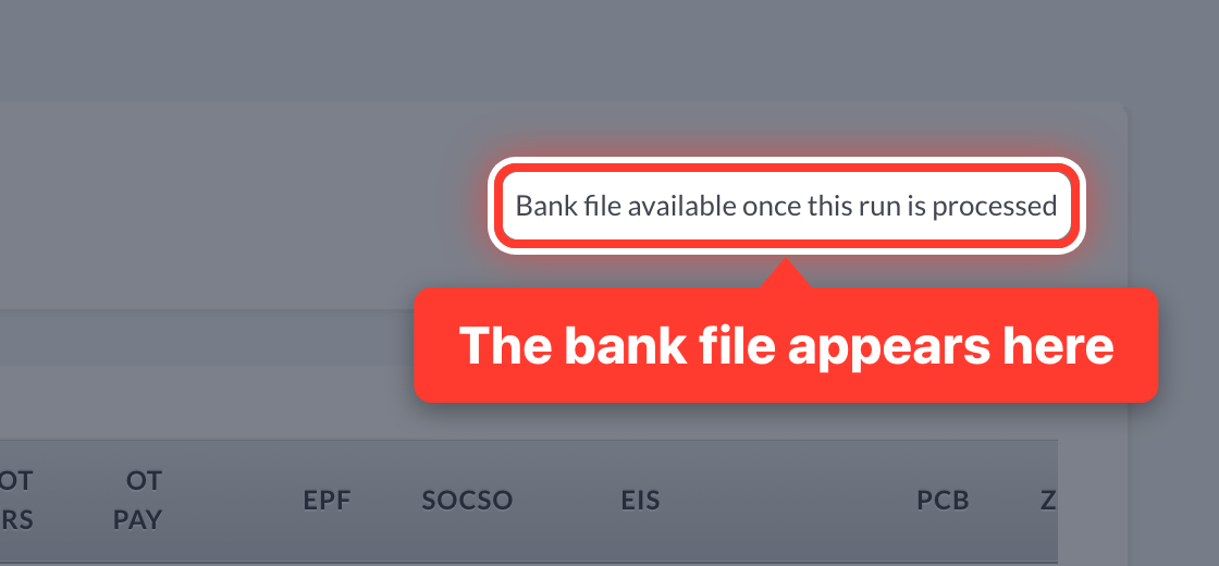 Where the bank file appears on a payroll run, circled